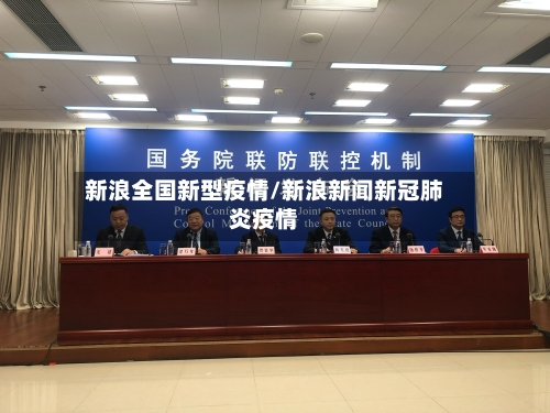 新浪全国新型疫情/新浪新闻新冠肺炎疫情-第2张图片