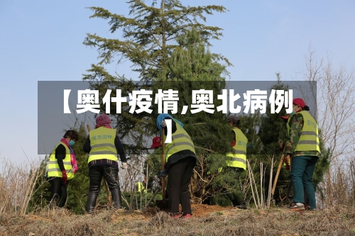 【奥什疫情,奥北病例】