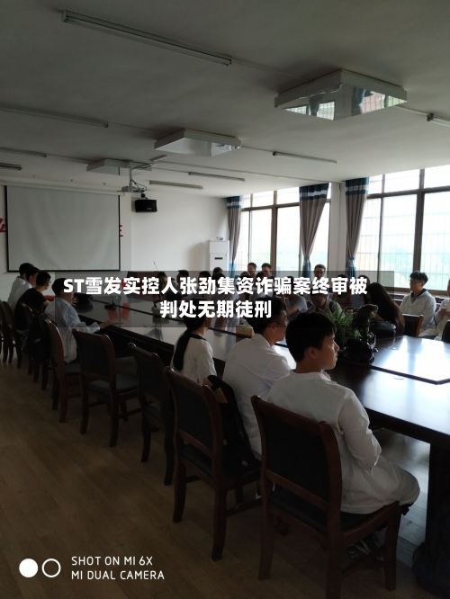 ST雪发实控人张劲集资诈骗案终审被判处无期徒刑-第3张图片