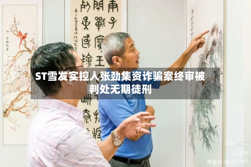 ST雪发实控人张劲集资诈骗案终审被判处无期徒刑-第2张图片