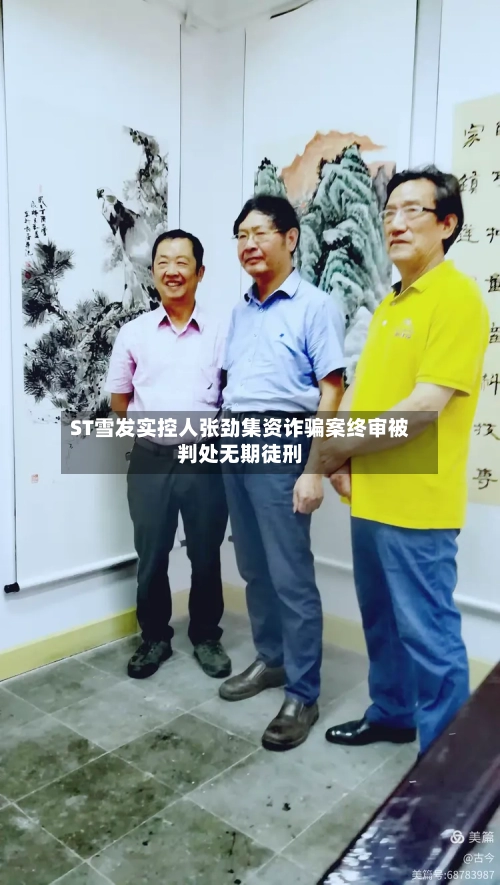 ST雪发实控人张劲集资诈骗案终审被判处无期徒刑