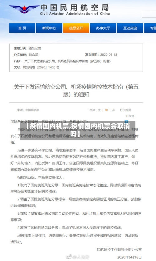 【疫情国内机票,疫情国内机票会取消吗】-第3张图片