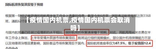 【疫情国内机票,疫情国内机票会取消吗】-第2张图片