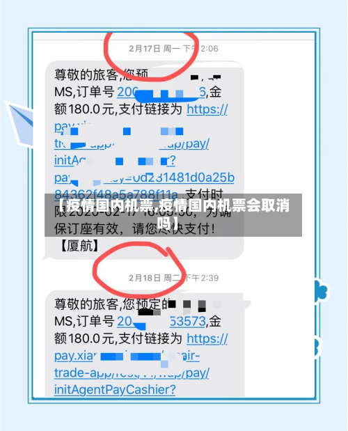 【疫情国内机票,疫情国内机票会取消吗】