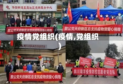 疫情党组织(疫情,党组织)