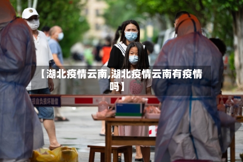 【湖北疫情云南,湖北疫情云南有疫情吗】-第2张图片