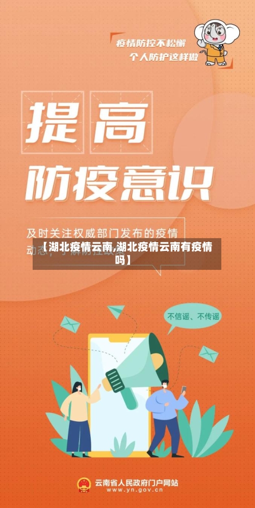 【湖北疫情云南,湖北疫情云南有疫情吗】-第3张图片