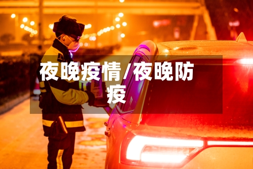 夜晚疫情/夜晚防疫