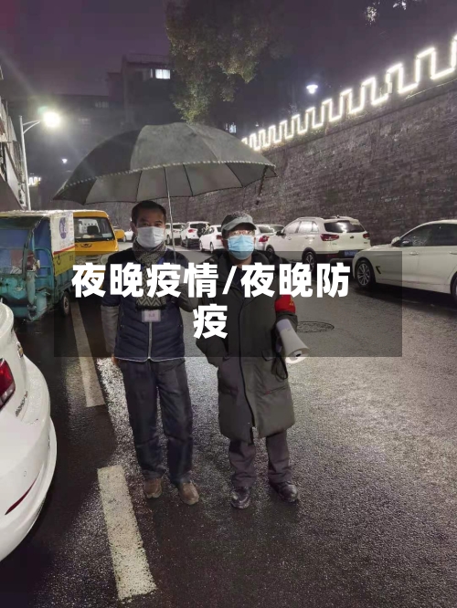 夜晚疫情/夜晚防疫-第2张图片