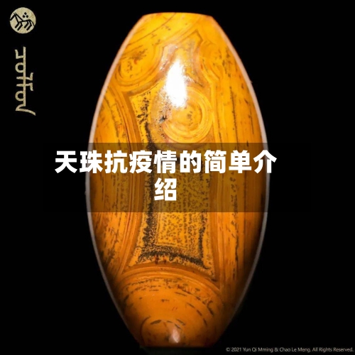 天珠抗疫情的简单介绍-第2张图片