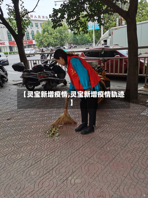 【灵宝新增疫情,灵宝新增疫情轨迹】-第2张图片