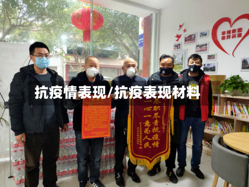 抗疫情表现/抗疫表现材料