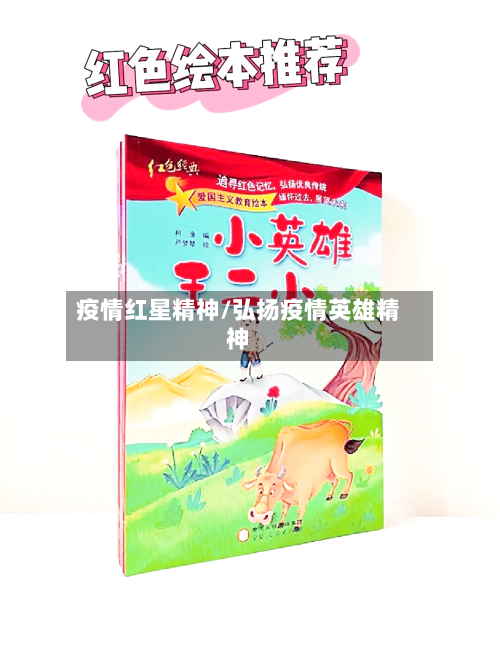 疫情红星精神/弘扬疫情英雄精神