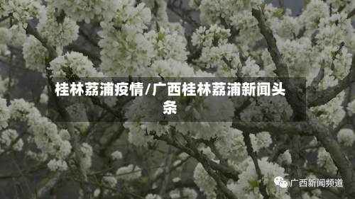 桂林荔浦疫情/广西桂林荔浦新闻头条