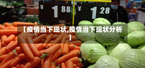 【疫情当下现状,疫情当下现状分析】