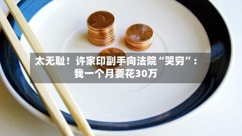 太无耻！许家印副手向法院“哭穷”：我一个月要花30万