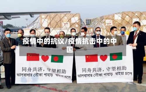 疫情中的抗议/疫情抗击中的中国