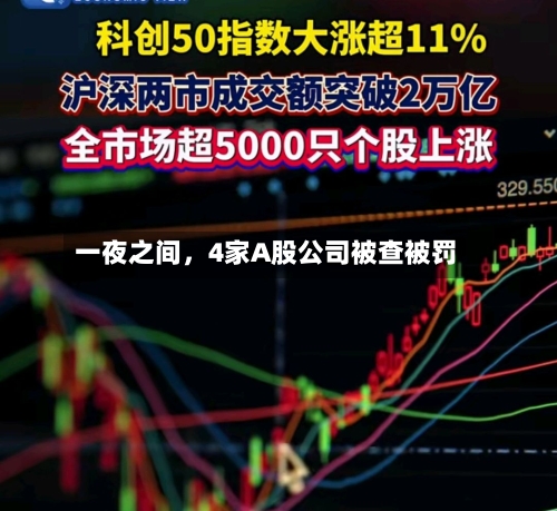 一夜之间，4家A股公司被查被罚-第3张图片