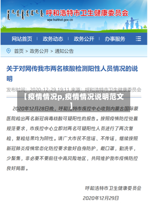 【疫情情况p,疫情情况说明范文】-第2张图片