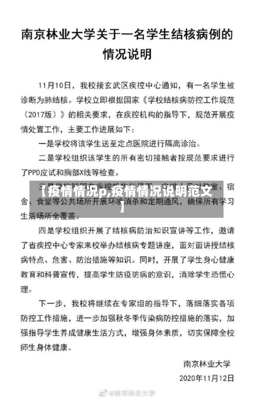 【疫情情况p,疫情情况说明范文】