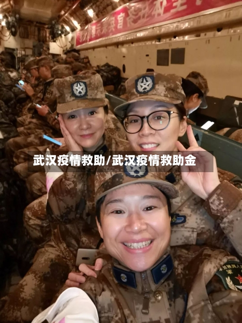 武汉疫情救助/武汉疫情救助金