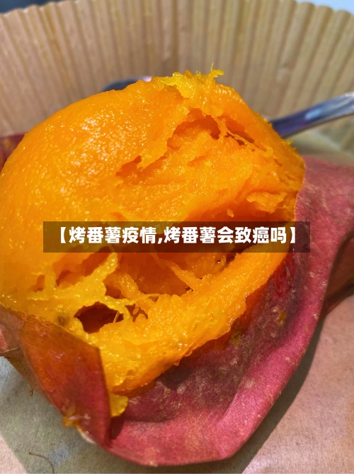 【烤番薯疫情,烤番薯会致癌吗】-第3张图片
