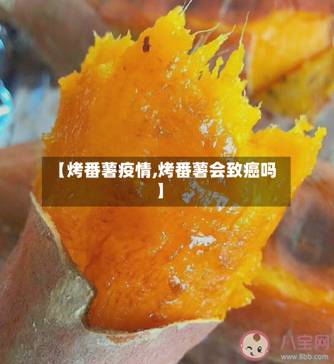 【烤番薯疫情,烤番薯会致癌吗】-第2张图片