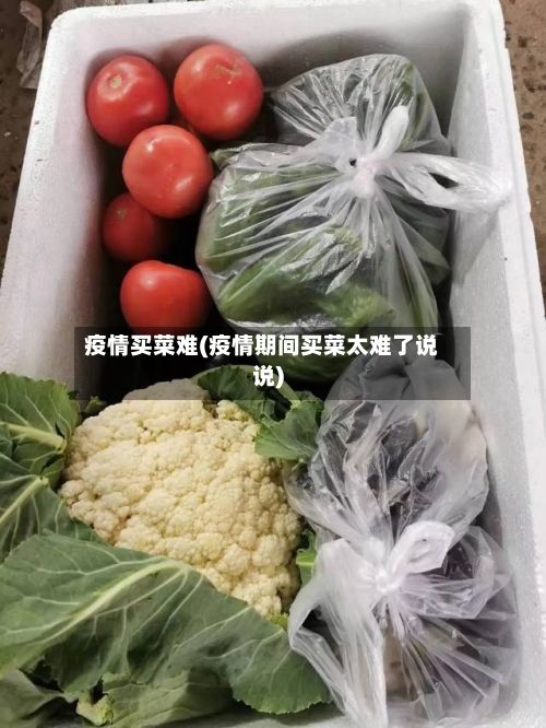 疫情买菜难(疫情期间买菜太难了说说)