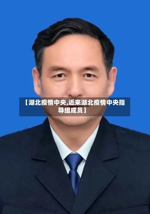 【湖北疫情中央,近来湖北疫情中央指导组成员】-第2张图片