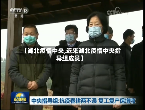 【湖北疫情中央,近来湖北疫情中央指导组成员】-第3张图片