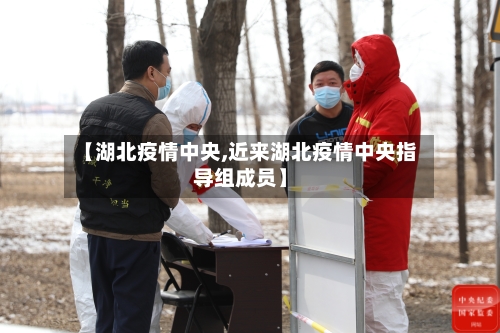 【湖北疫情中央,近来湖北疫情中央指导组成员】