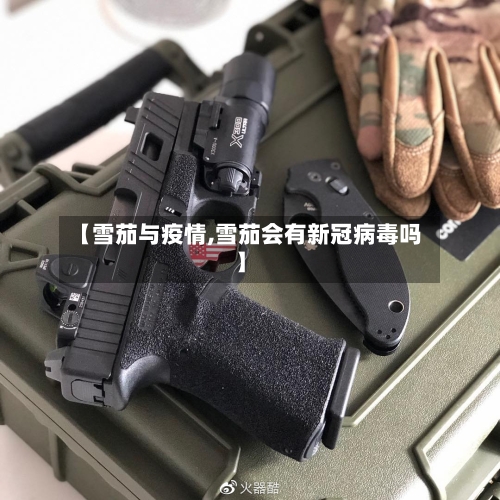 【雪茄与疫情,雪茄会有新冠病毒吗】-第2张图片