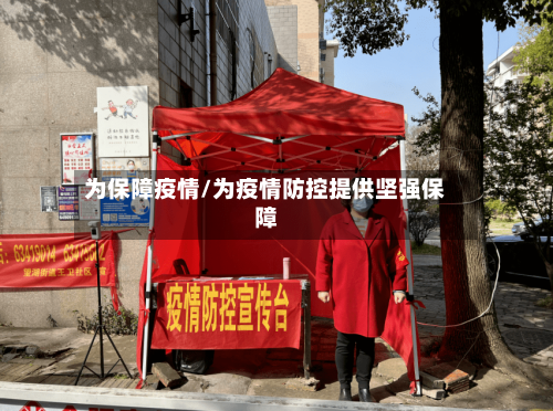 为保障疫情/为疫情防控提供坚强保障