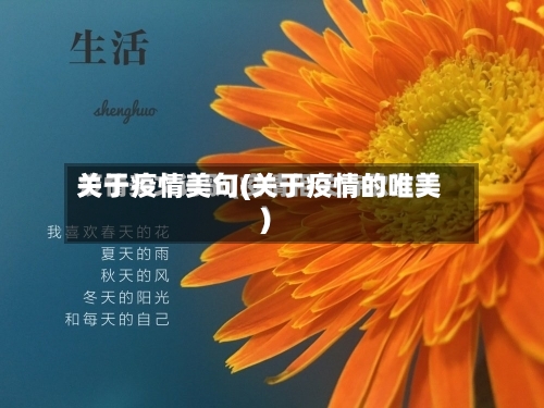关于疫情美句(关于疫情的唯美)