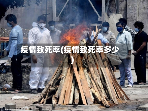 疫情致死率(疫情致死率多少)