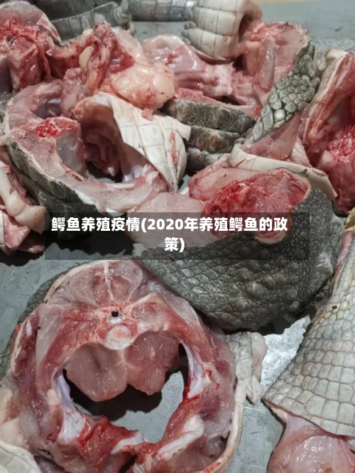 鳄鱼养殖疫情(2020年养殖鳄鱼的政策)-第2张图片