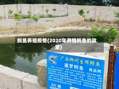 鳄鱼养殖疫情(2020年养殖鳄鱼的政策)