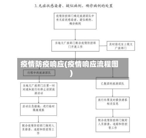 疫情防疫响应(疫情响应流程图)