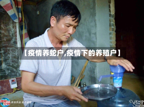 【疫情养蛇户,疫情下的养殖户】
