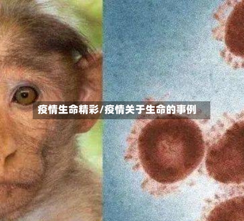 疫情生命精彩/疫情关于生命的事例
