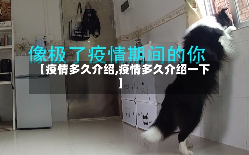 【疫情多久介绍,疫情多久介绍一下】-第3张图片