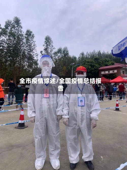 全市疫情综述/全国疫情总结报告