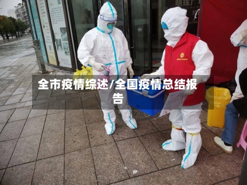 全市疫情综述/全国疫情总结报告-第2张图片