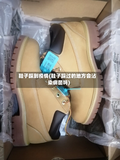 鞋子踩到疫情(鞋子踩过的地方会沾染病菌吗)-第2张图片