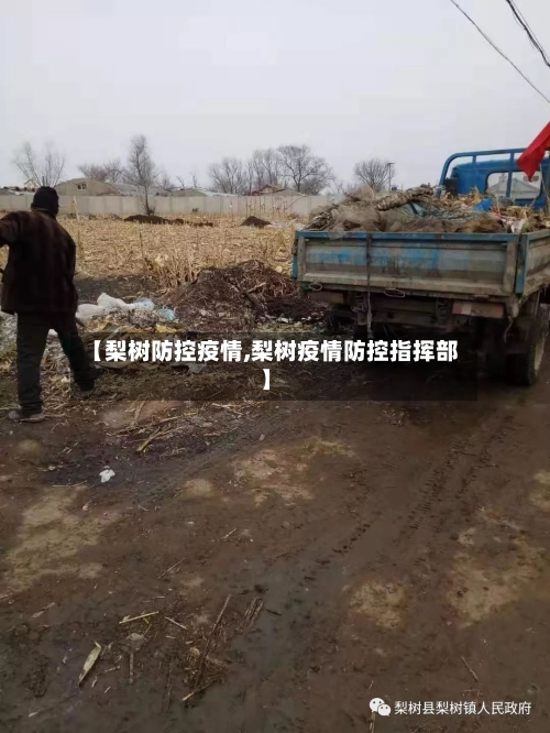【梨树防控疫情,梨树疫情防控指挥部】-第2张图片