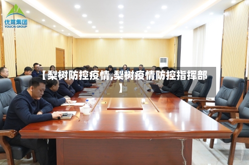 【梨树防控疫情,梨树疫情防控指挥部】