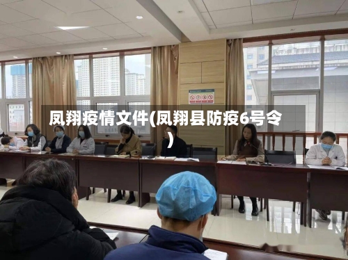 凤翔疫情文件(凤翔县防疫6号令)