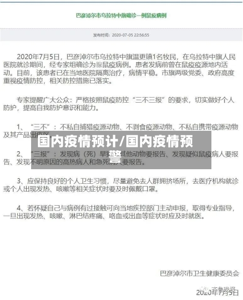 国内疫情预计/国内疫情预警