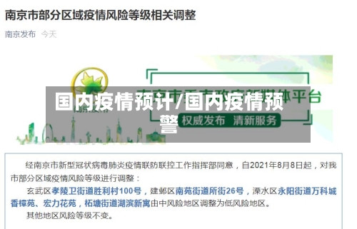 国内疫情预计/国内疫情预警-第2张图片