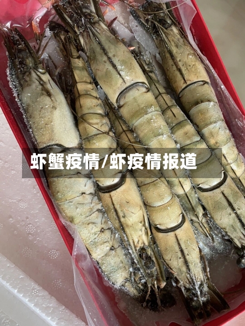 虾蟹疫情/虾疫情报道